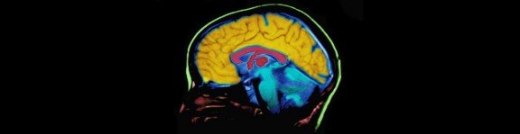 Pressing the colorful brain will lead to the Clinic Window Picture of a colorful brain